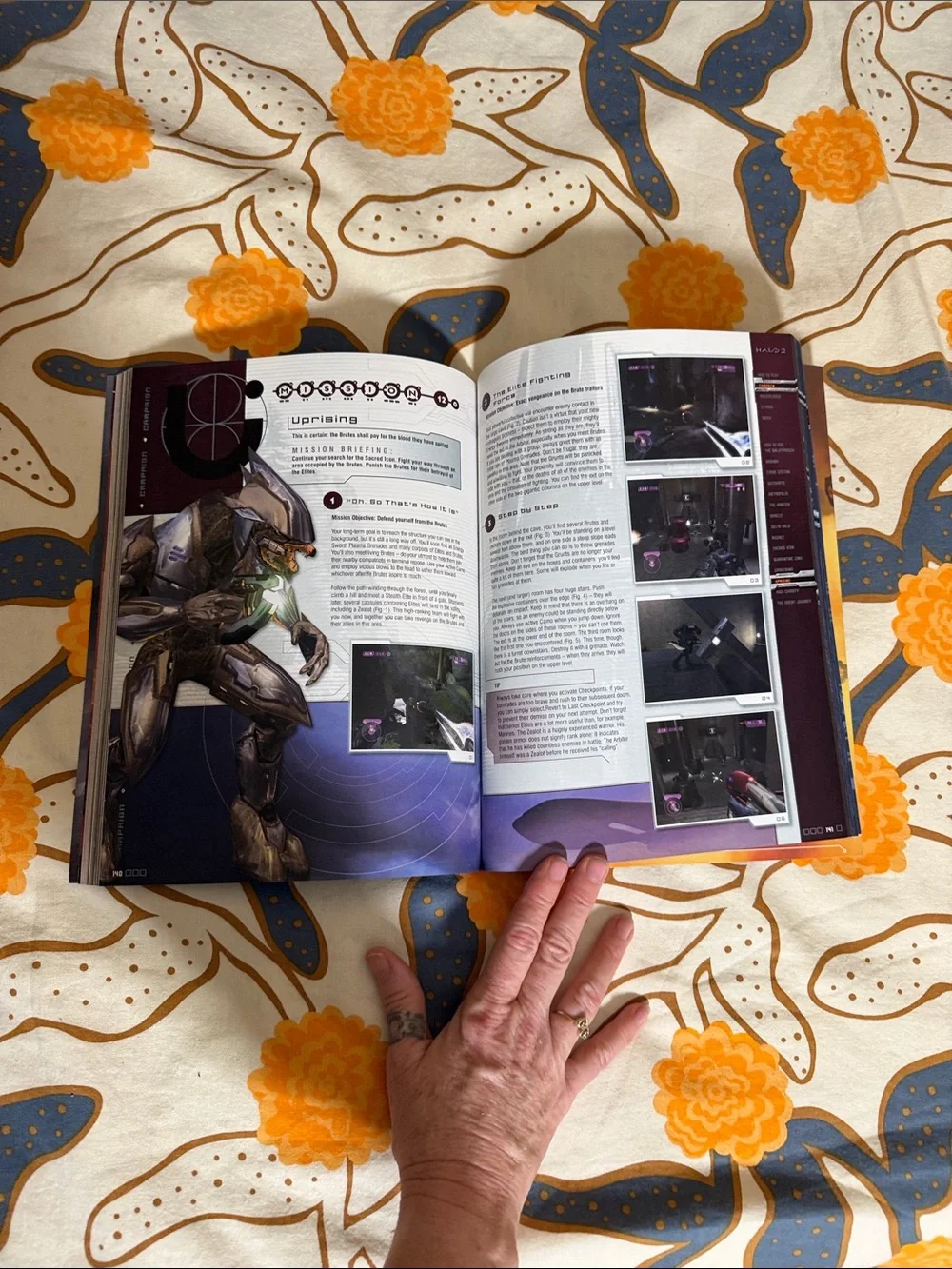 Halo 2 Official Guide - Orange Cover